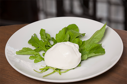 <span>B</span>URRAtA