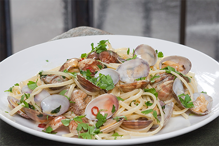 <span>B</span>ONGOLE <span>B</span>IANCO